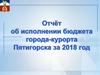 Основные параметры исполнения бюджета