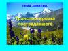 Транспортировка пострадавшего в горах