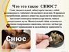 Что такое Снюс?