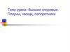 Высшие споровые. Плауны, хвощи, папоротники
