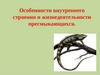 Внутреннее строение пресмыкающихся