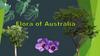 Flora of Australia