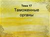 Таможенные органы (тема 17)