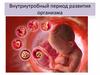 Внутриутробный период развития организма