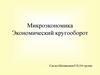 Микроэкономика. Экономический кругооборот