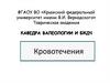 Кровотечения