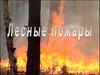 Лесные пожары