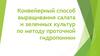 Конвейерный способ выращивания салата и зеленных культур по методу проточной гидропоники