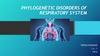 Phylogenetic Disorders Of Respiratory System