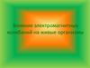 Влияние электромагнитных колебаний на живые организмы