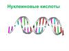 Нуклеиновые кислоты