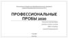 Профессиональные пробы 2020