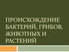 Происхождение бактерий, грибов, животных и растений