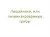 Лишайники, или лихенизированные грибы