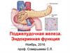 Поджелудочная железа. Эндокринная функция