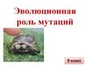 Эволюционная роль мутаций, 9 класс