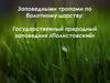 Заповедными тропами по болотному царству: Государственный природный заповедник «Полистовский»