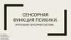 Сенсорная функция психики