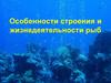 Особенности строения и жизнедеятельности рыб