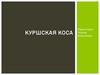 Куршская коса