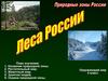 Леса России