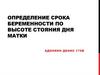 Определение срока беременности по высоте стояния дна матки