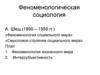 Феноменологическая социология