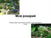 Мой рокарий