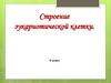 Строение эукариотической клетки
