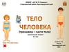 Тело человека (тренажер – части тела)