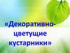 Декоративные кустарники