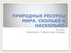Природные ресурсы мира. Сколько и насколько