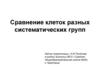 Сравнение клеток разных систематических групп