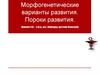 Морфогенетические варианты развития. Пороки развития