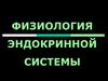 Физиология эндокринной системы