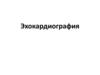Эхокардиография