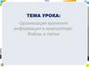 Организация хранения информации в компьютере. Файлы и папки