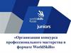 Организация конкурса профессионального мастерства в формате WorldSkills