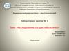 Исследование сосудистой системы. Лабораторное занятие №3