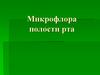 Микрофлора полости рта