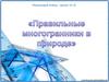 Правильные многогранники в природе