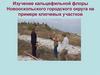 Изучение кальцефильной флоры Новооскольского городского округа на примере ключевых участков