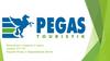 Туры Pegas Touristik. Примеры реклам