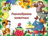 Разнообразие животных