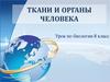 Ткани и органы человека