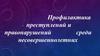 Профилактика преступлений и правонарушений среди несовершеннолетних