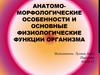 Анатомо-морфологические особенности и основные физиологические функции организма