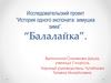 Исследовательский проект “История одного экспоната: зимушка зима”. “Балалайка”