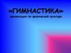 «Гимнастика» презентация по физической культуре