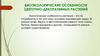 Биоэкологические особенности цветочно-декоративных растений